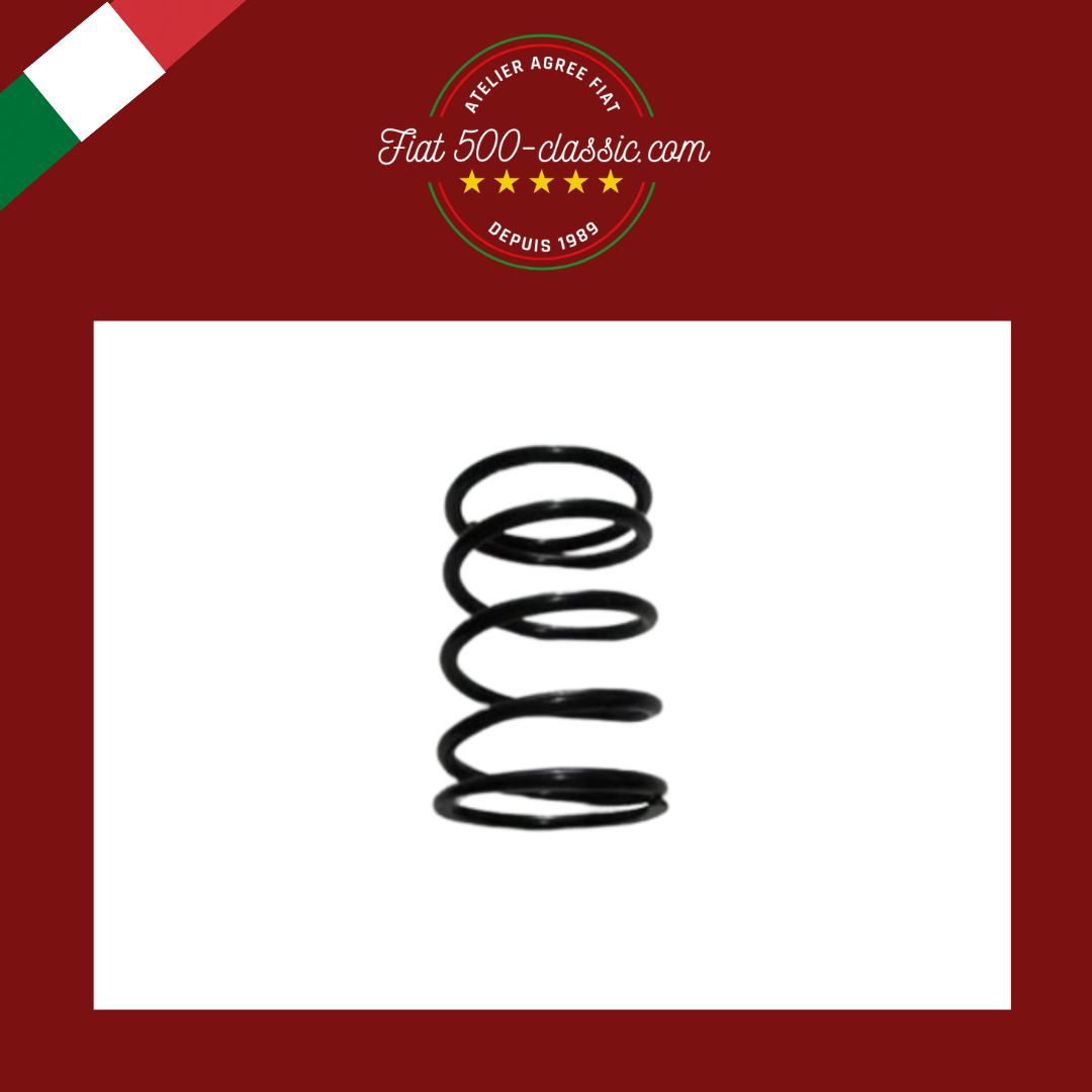 RESSORT SUPPORT MOTEUR FIAT 500 R