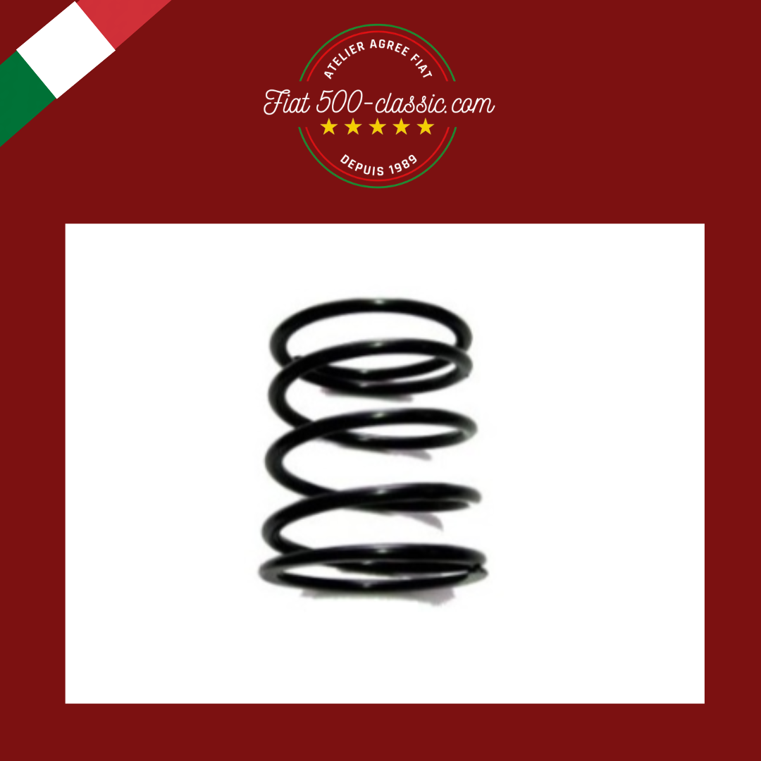 RESSORT SUPPORT MOTEUR 500 GIARDINIERA