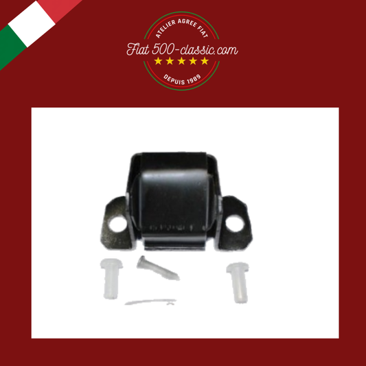 KIT CHARNIÈRE PORTE COMPLET FIAT 500