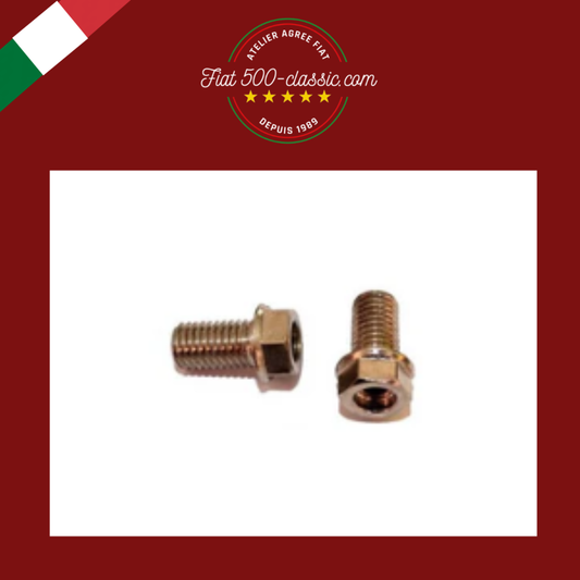 BOULON ÉVENT CULASSE NICKELÉ FIAT 500