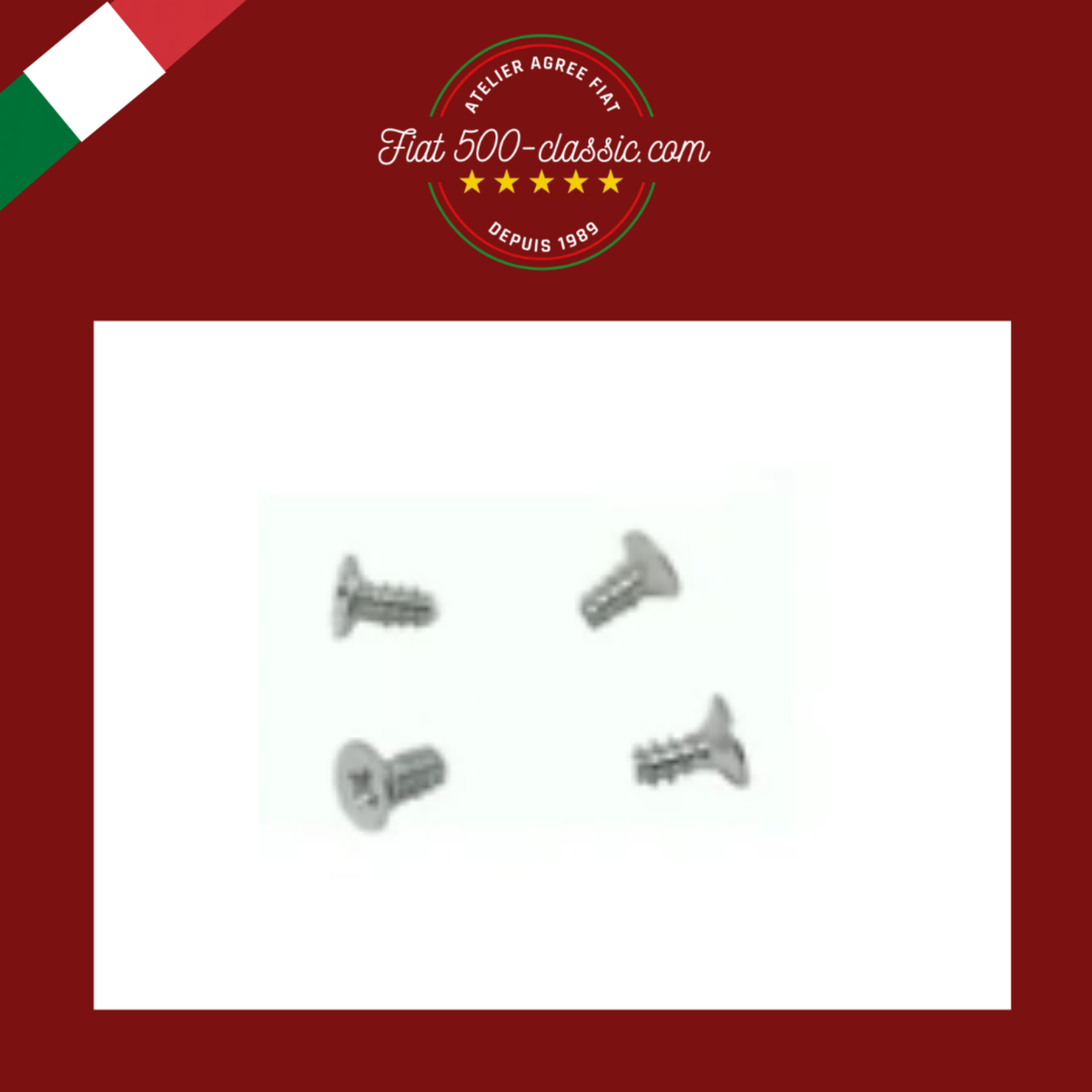 VIS POUR PROFIL GOUTTIÈRE FIAT 500