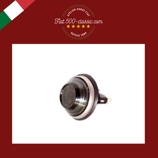 CLIGNOTANT TÉMOIN LUMINEUX LATÉRAL FUMÉ FIAT 500